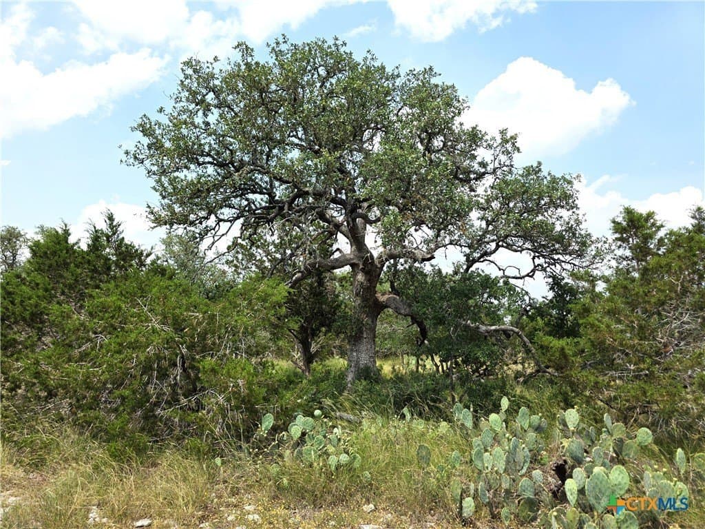 20.11 acres in Hays County - photo 10