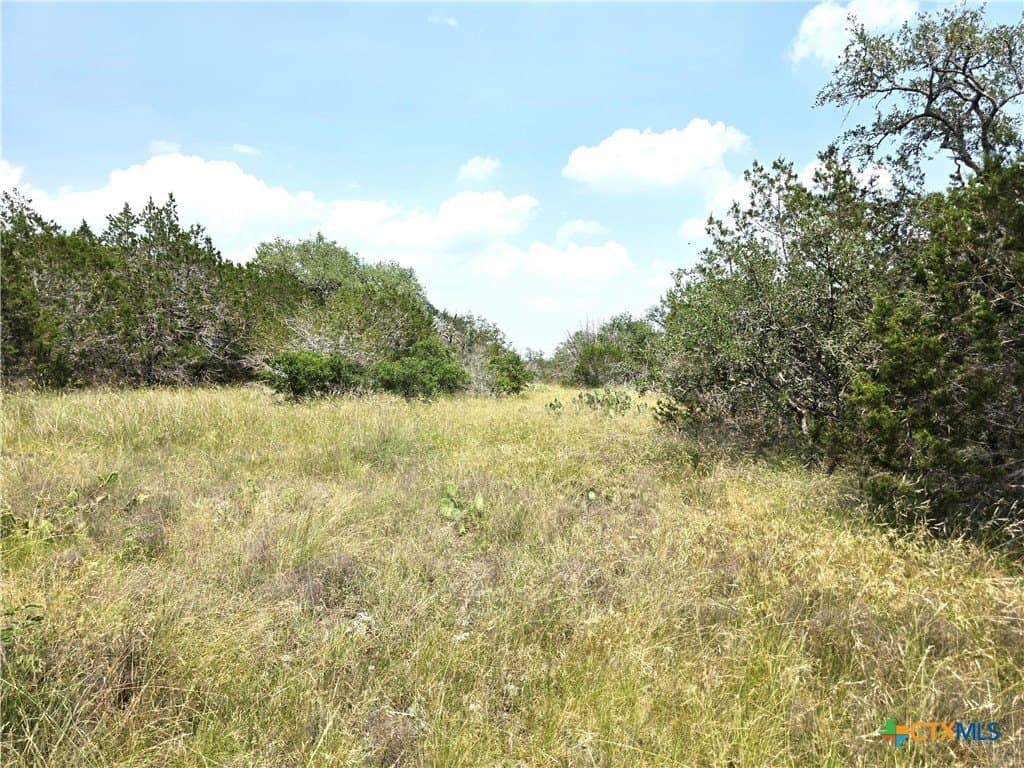 20.11 acres in Hays County - photo 21