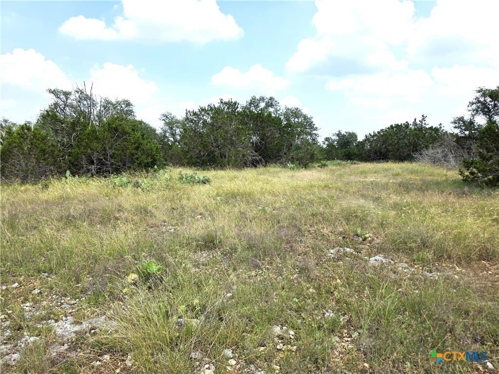 20.11 acres in Hays County - photo 23