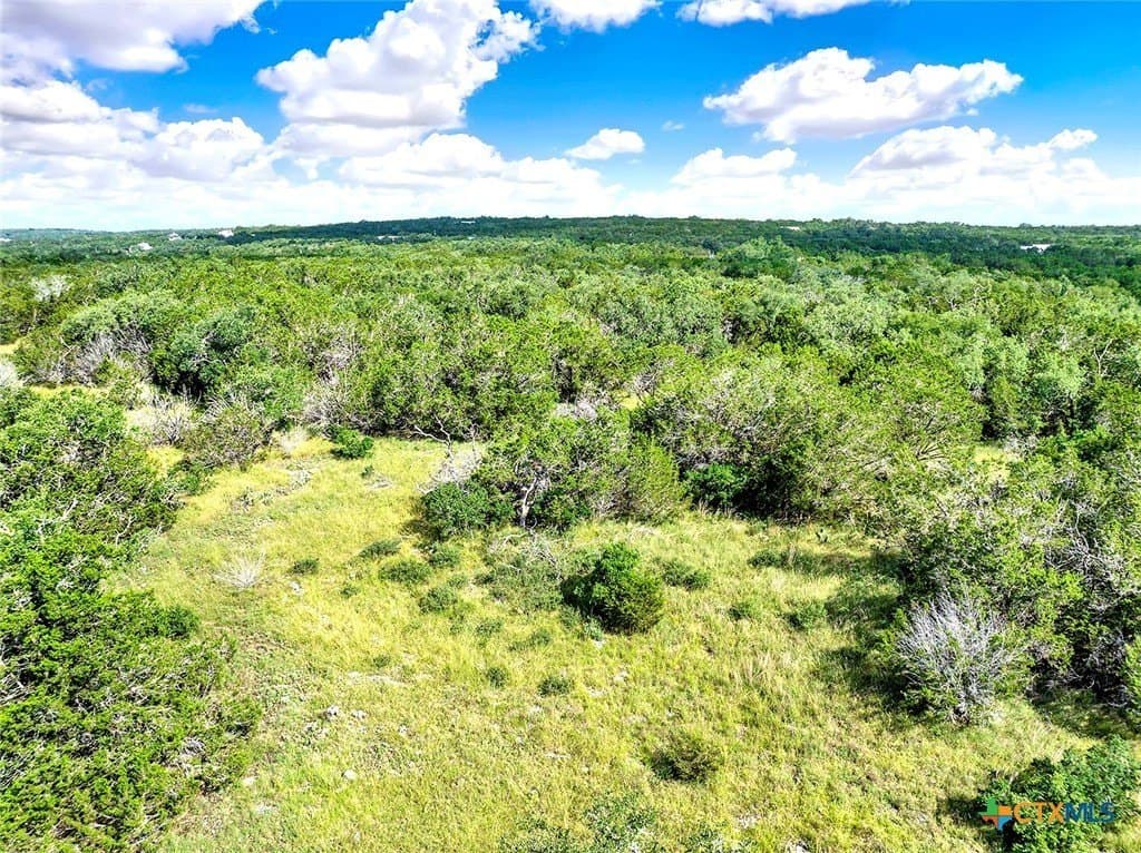 20.11 acres in Hays County - photo 11
