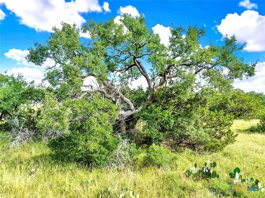 20.11 acres in Hays County gallery image 3