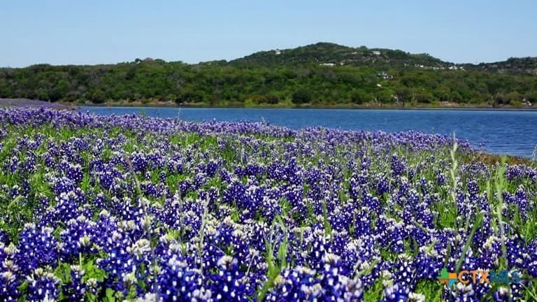 20.11 acres in Hays County - photo 29