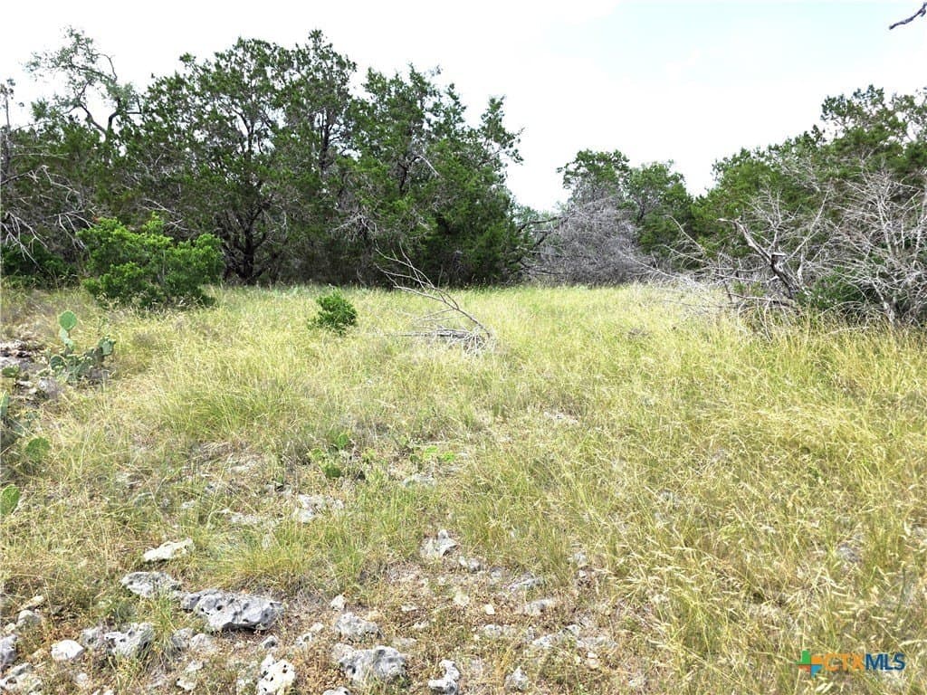 20.11 acres in Hays County - photo 15