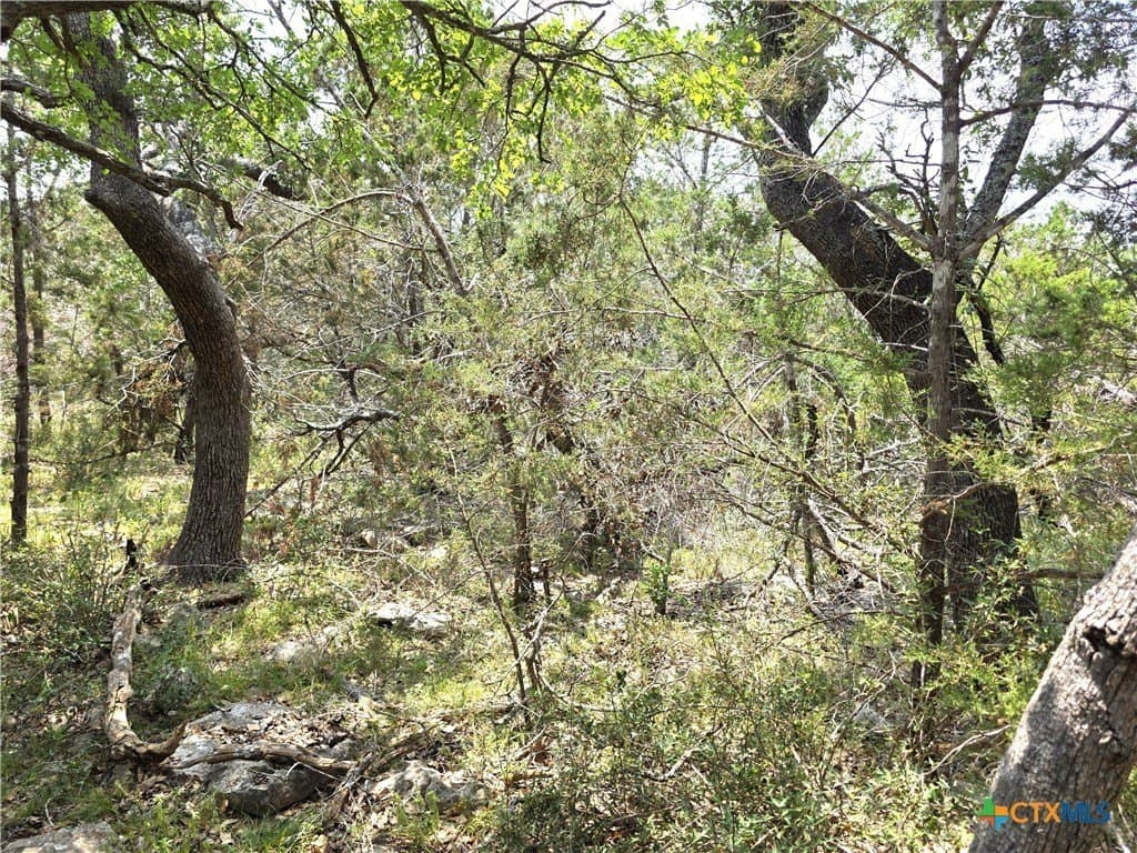20.11 acres in Hays County - photo 19