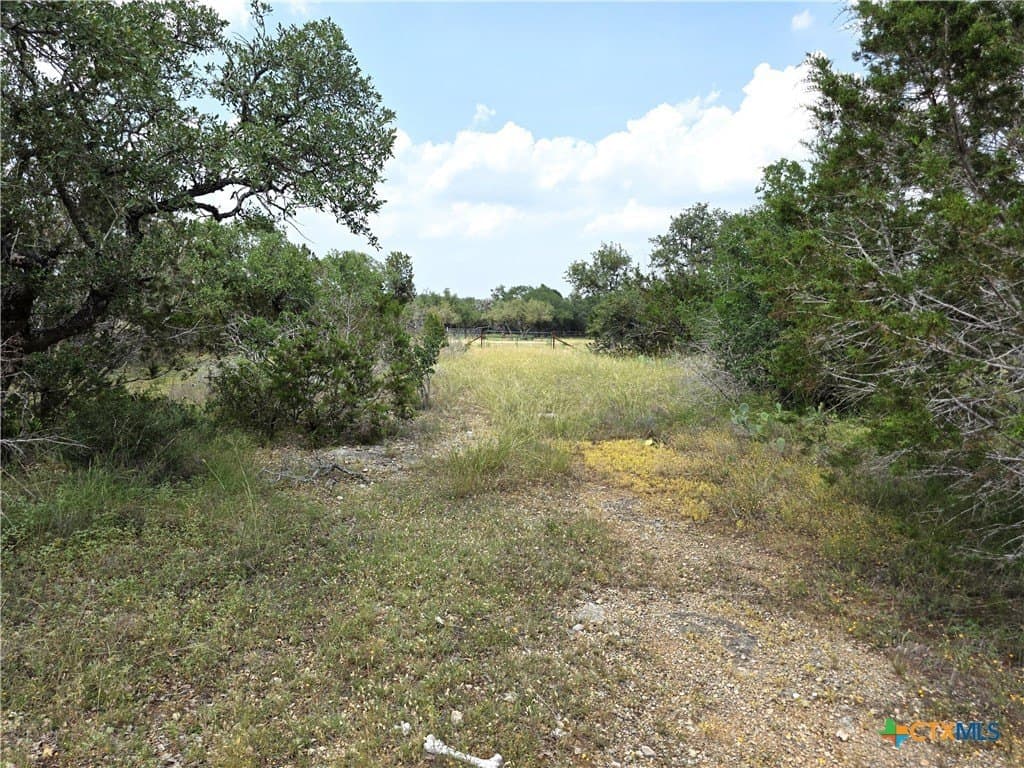 20.11 acres in Hays County - photo 8