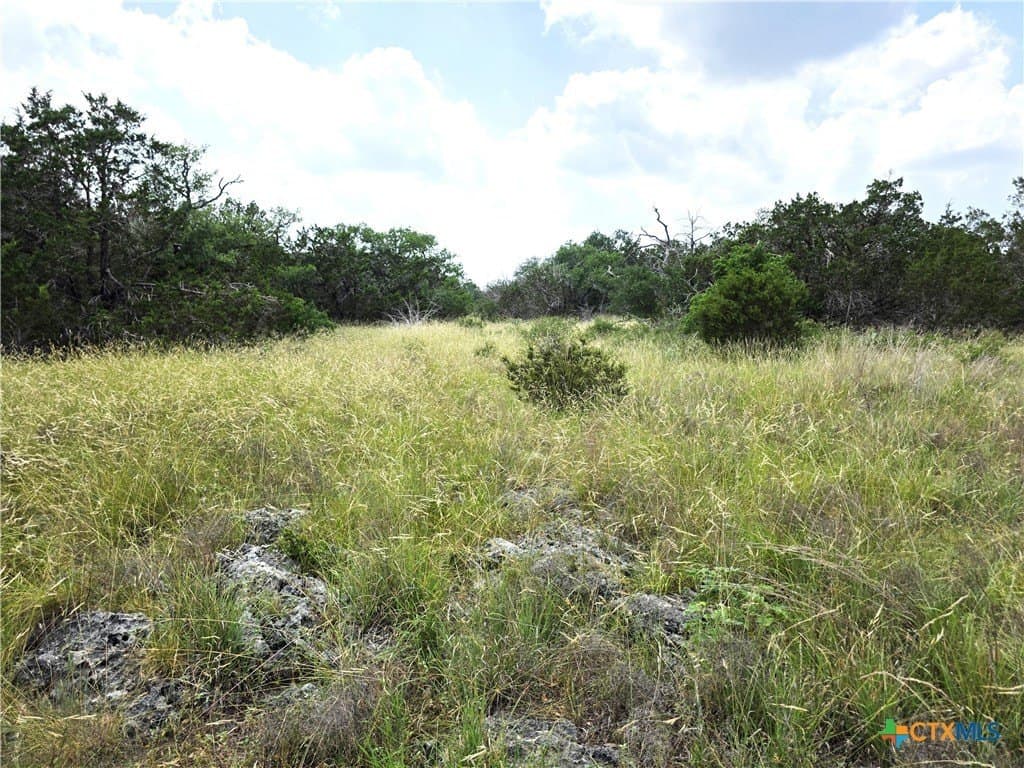 20.11 acres in Hays County - photo 24
