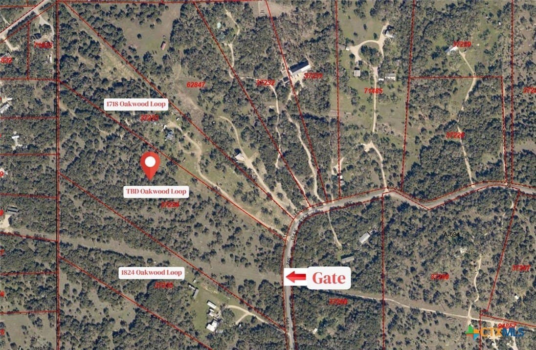 20.11 acres in Hays County gallery image 2