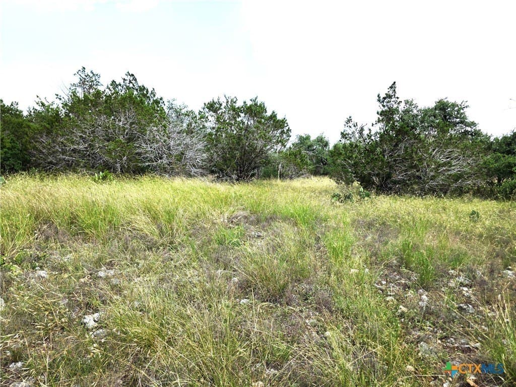 20.11 acres in Hays County - photo 20