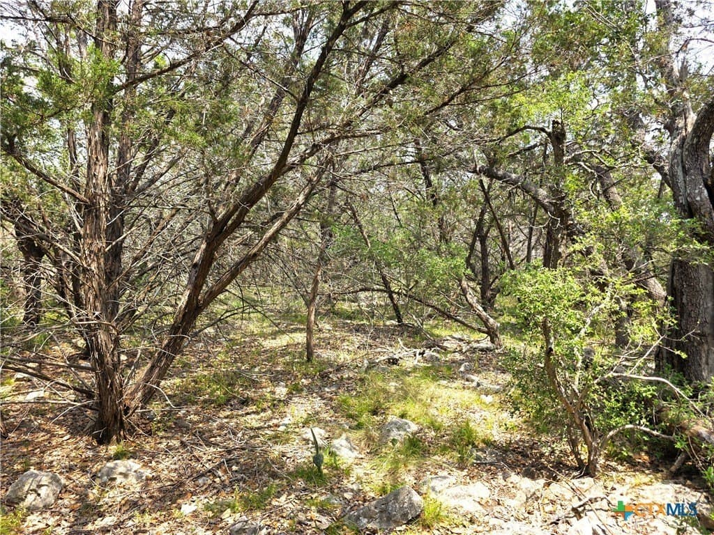 20.11 acres in Hays County - photo 17