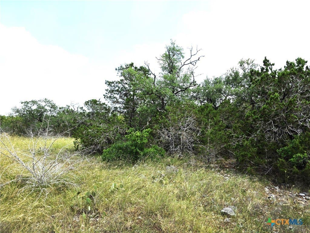 20.11 acres in Hays County - photo 22