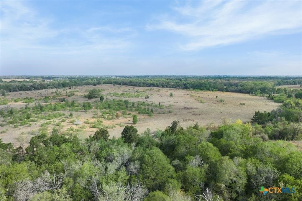 95.87 acres in Bastrop County - photo 10