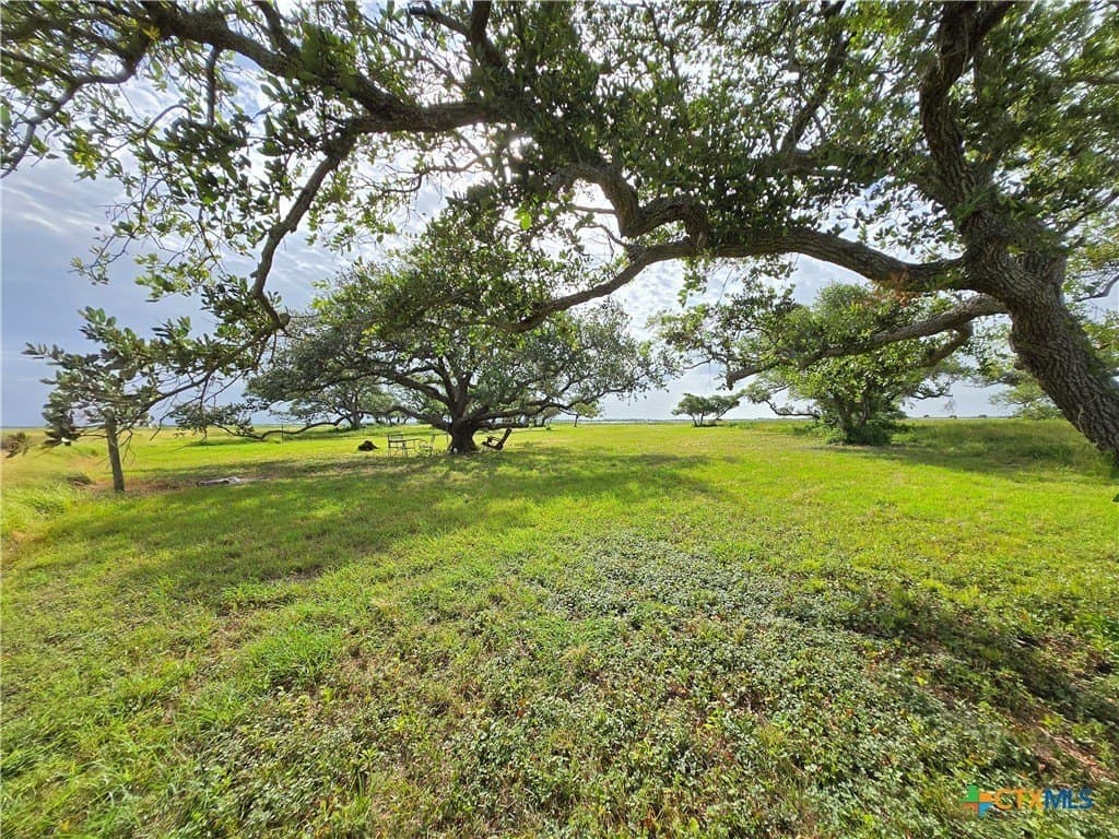 1.1 acres in Calhoun County - photo 29