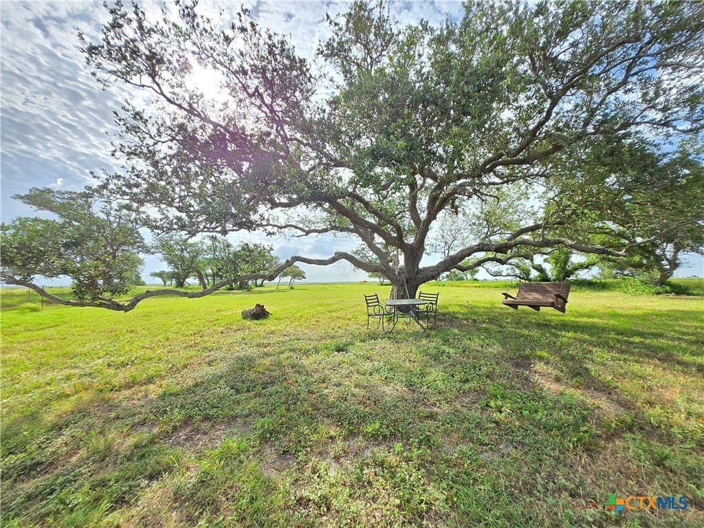 1.1 acres in Calhoun County - photo 31