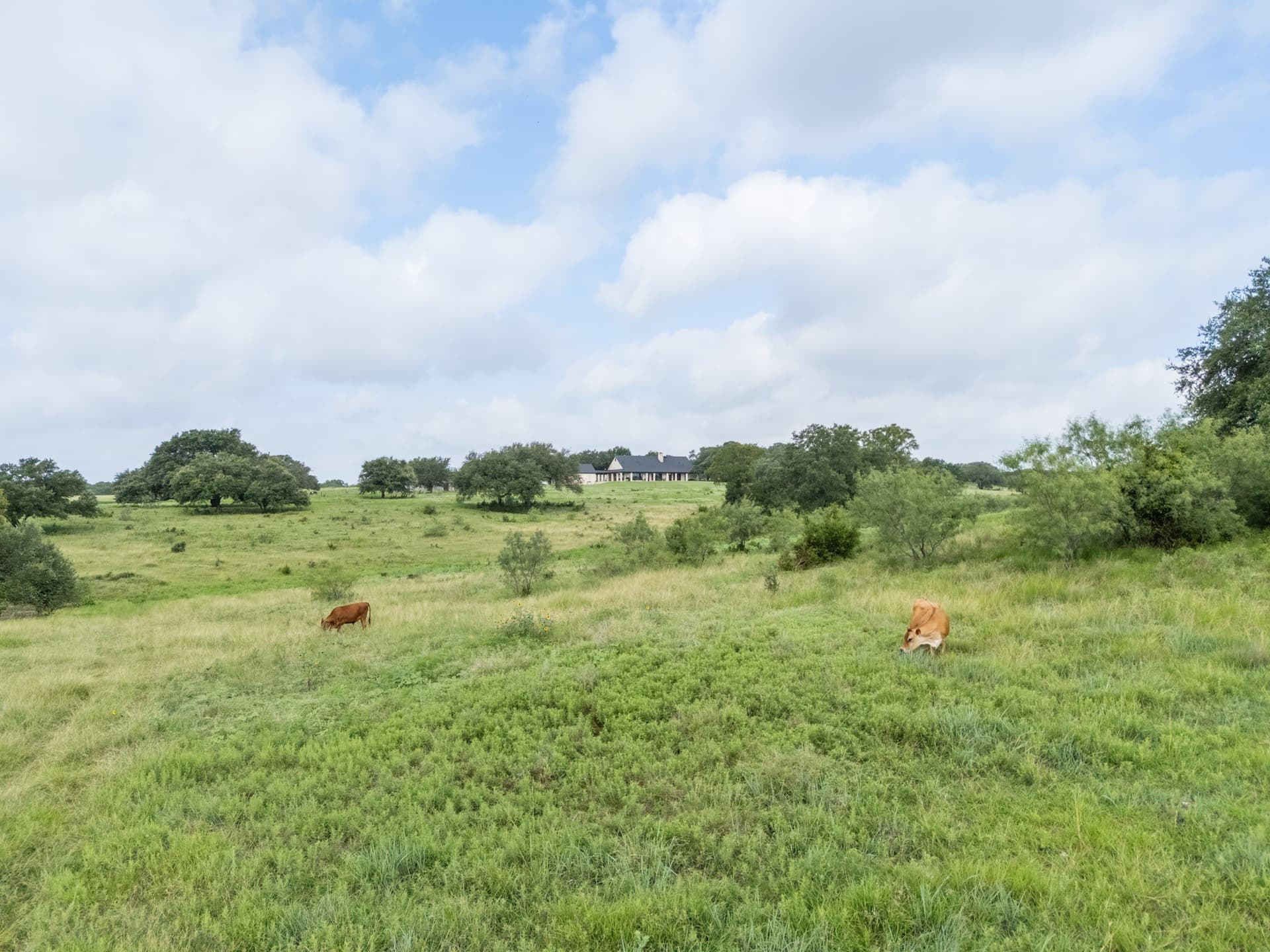 50.44 acres in McLennan County - photo 37