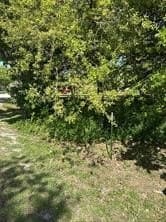 0.27 acres in Denton County - photo 3