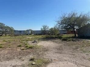 0.39 acres in Jim Wells County gallery image 2