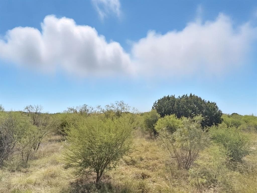 14.68 acres in Hamilton County gallery image 4