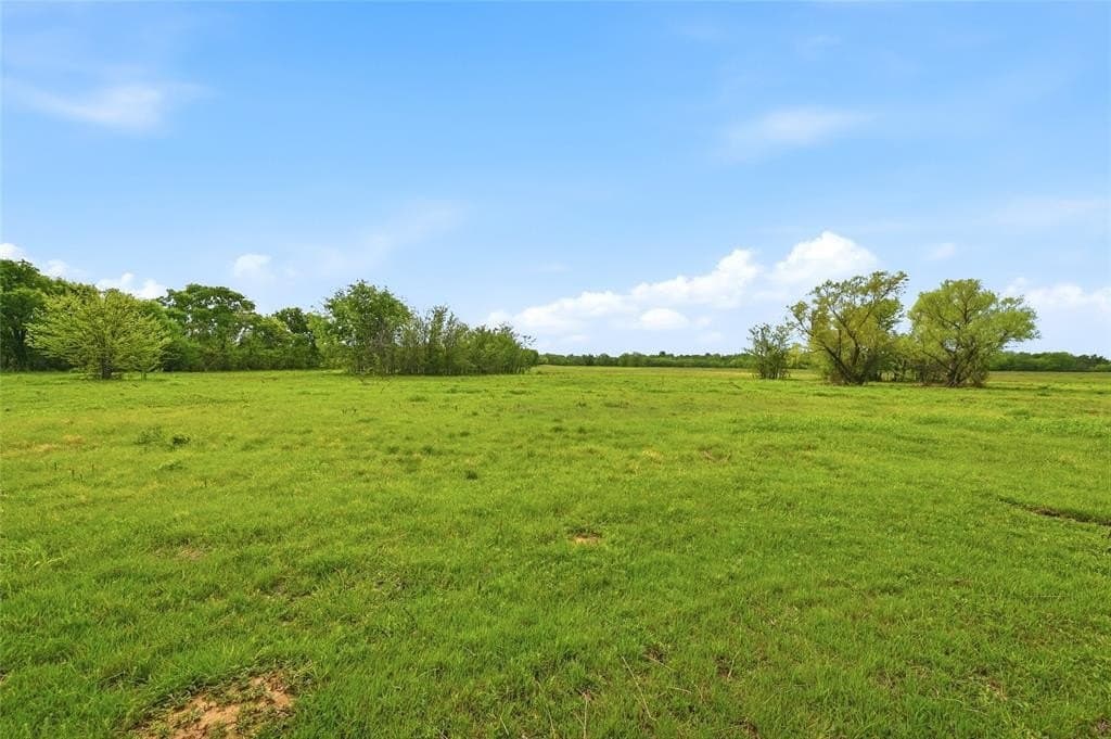 19.16 acres in Grayson County gallery image 2