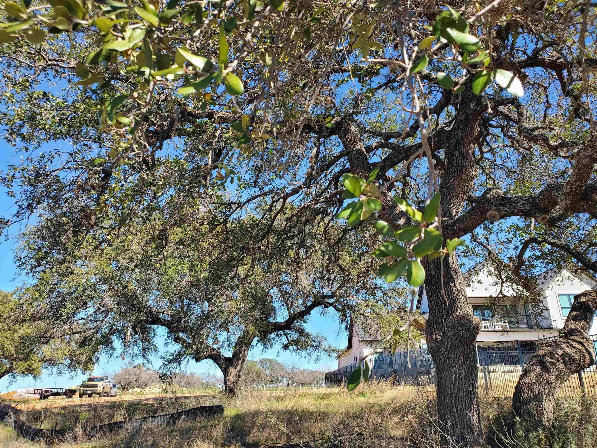 0.45 acres in Burnet County gallery image 3