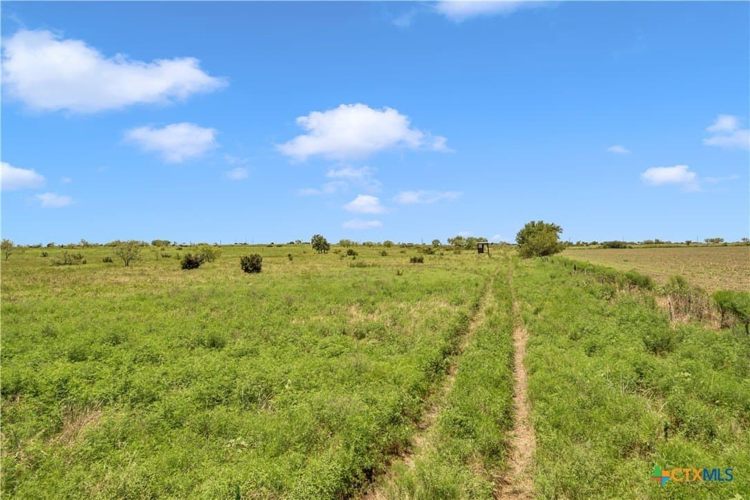 40 acres in Burnet County - photo 29