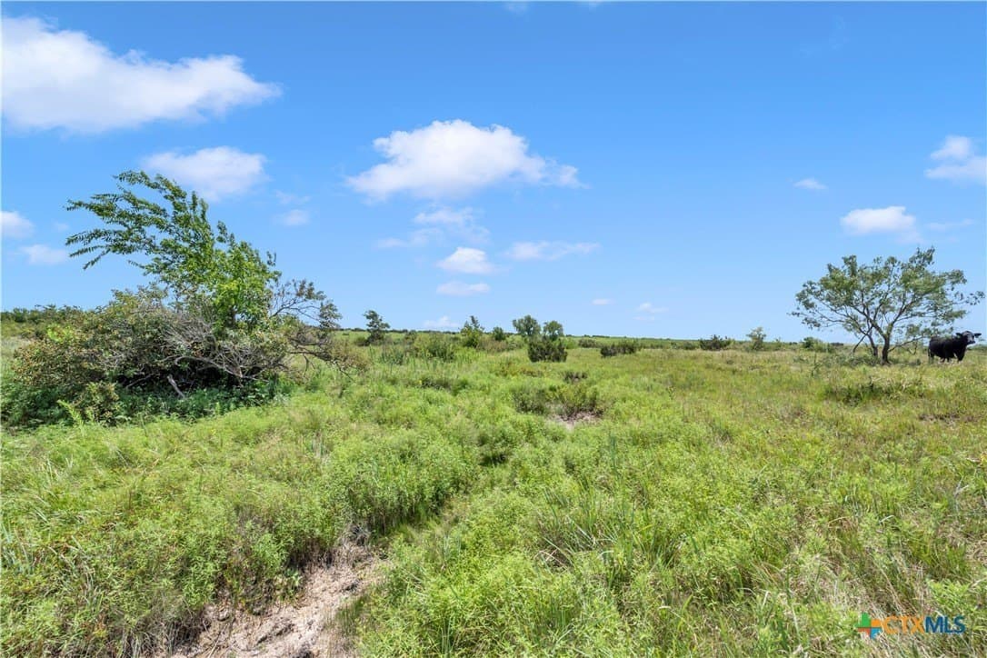 40 acres in Burnet County - photo 27