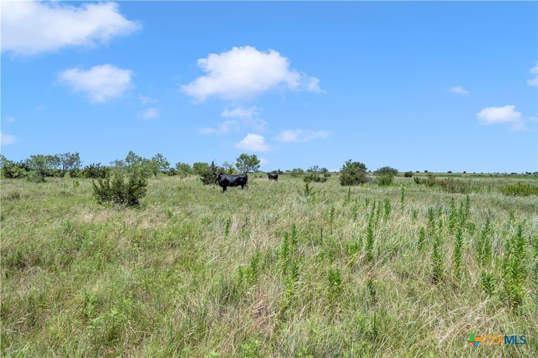 40 acres in Burnet County - photo 23