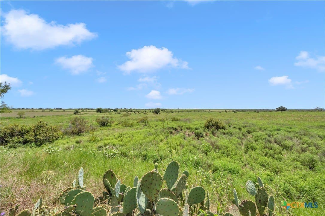 40 acres in Burnet County - photo 20