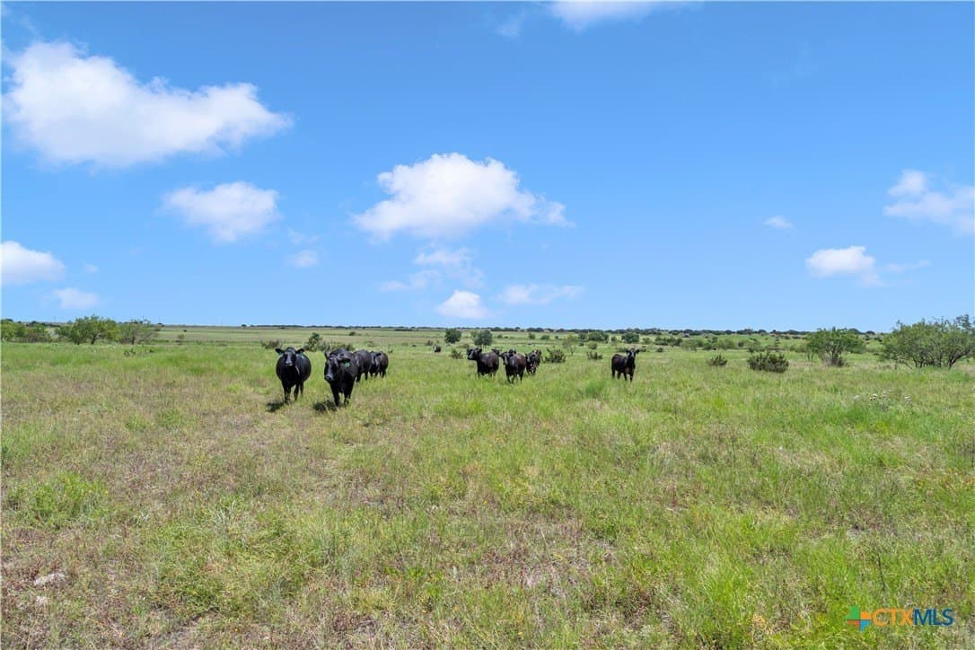 40 acres in Burnet County - photo 21