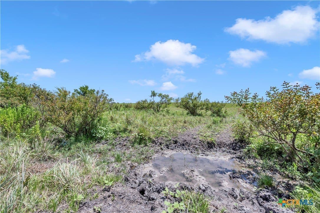 40 acres in Burnet County - photo 22