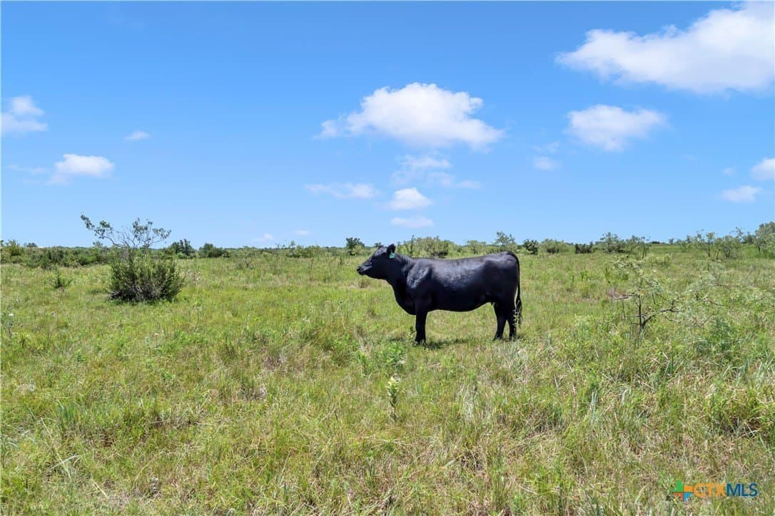 40 acres in Burnet County - photo 26