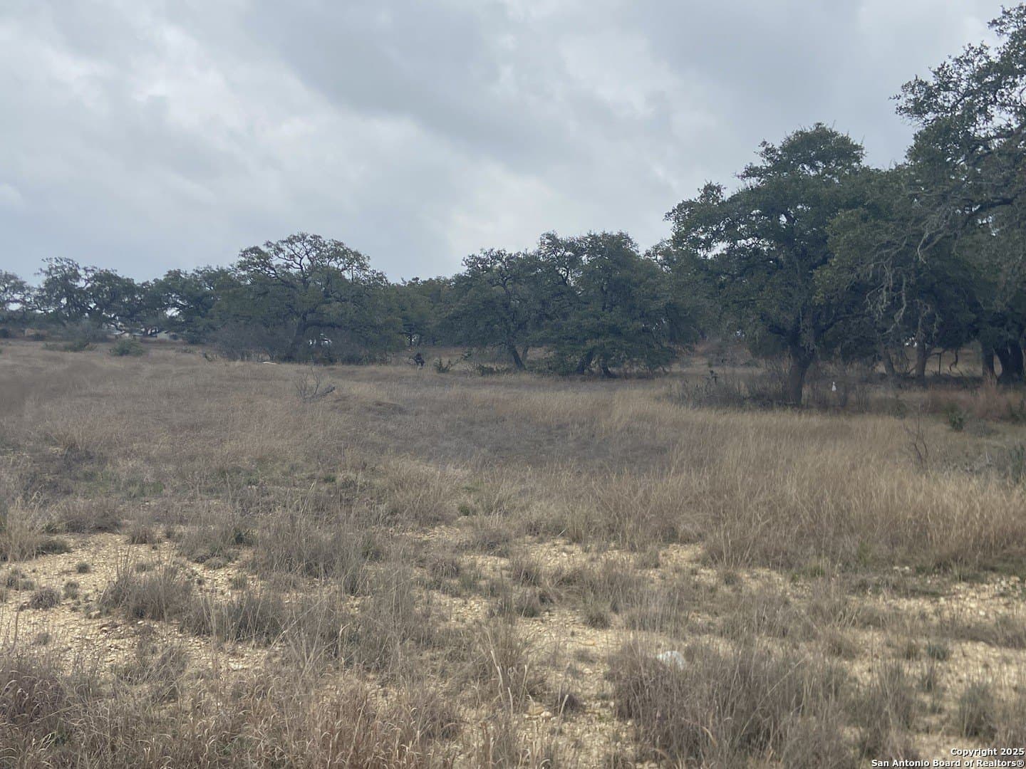 1.22 acres in Comal County gallery image 3