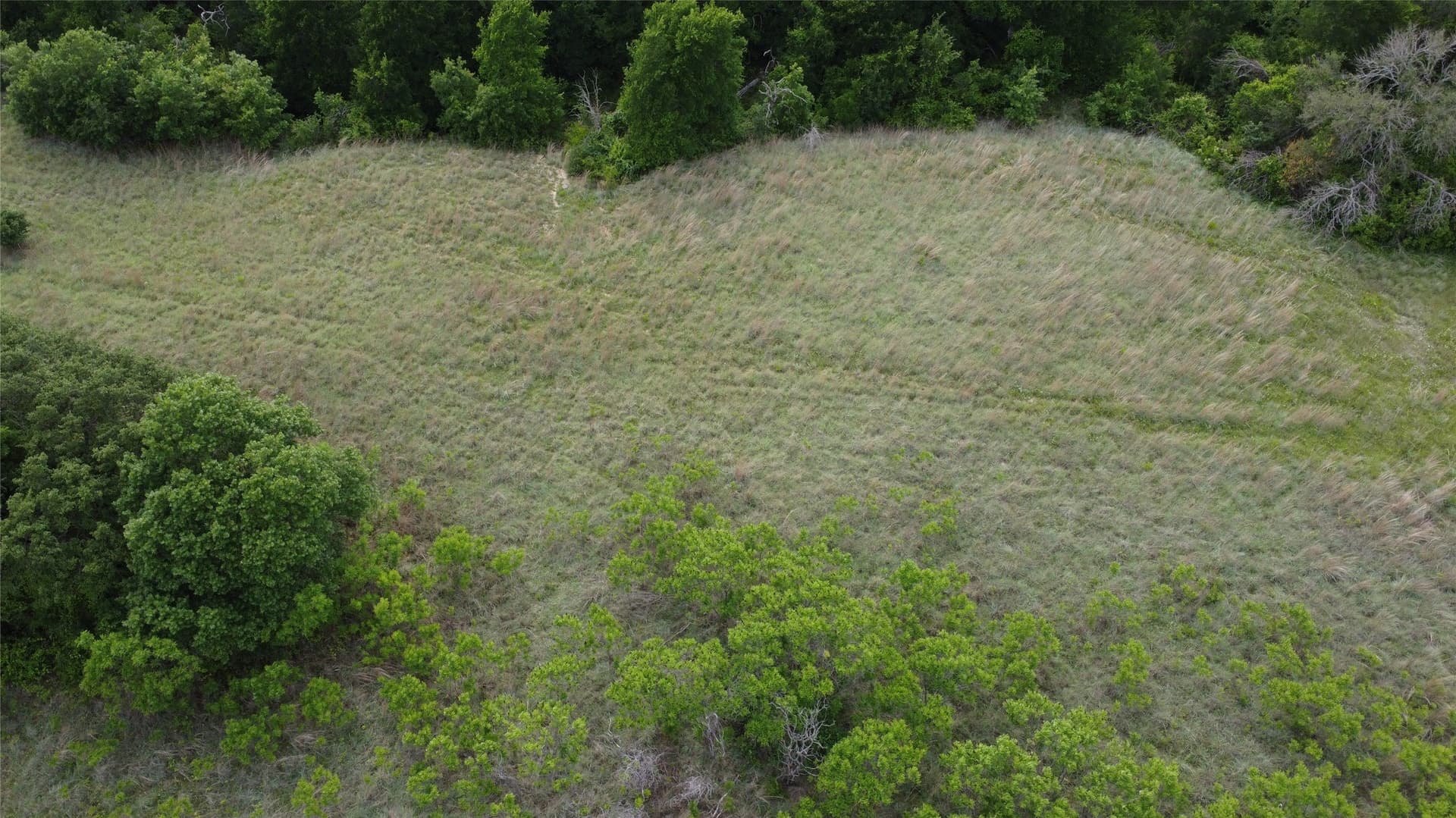 5.61 acres in Comanche County - photo 9