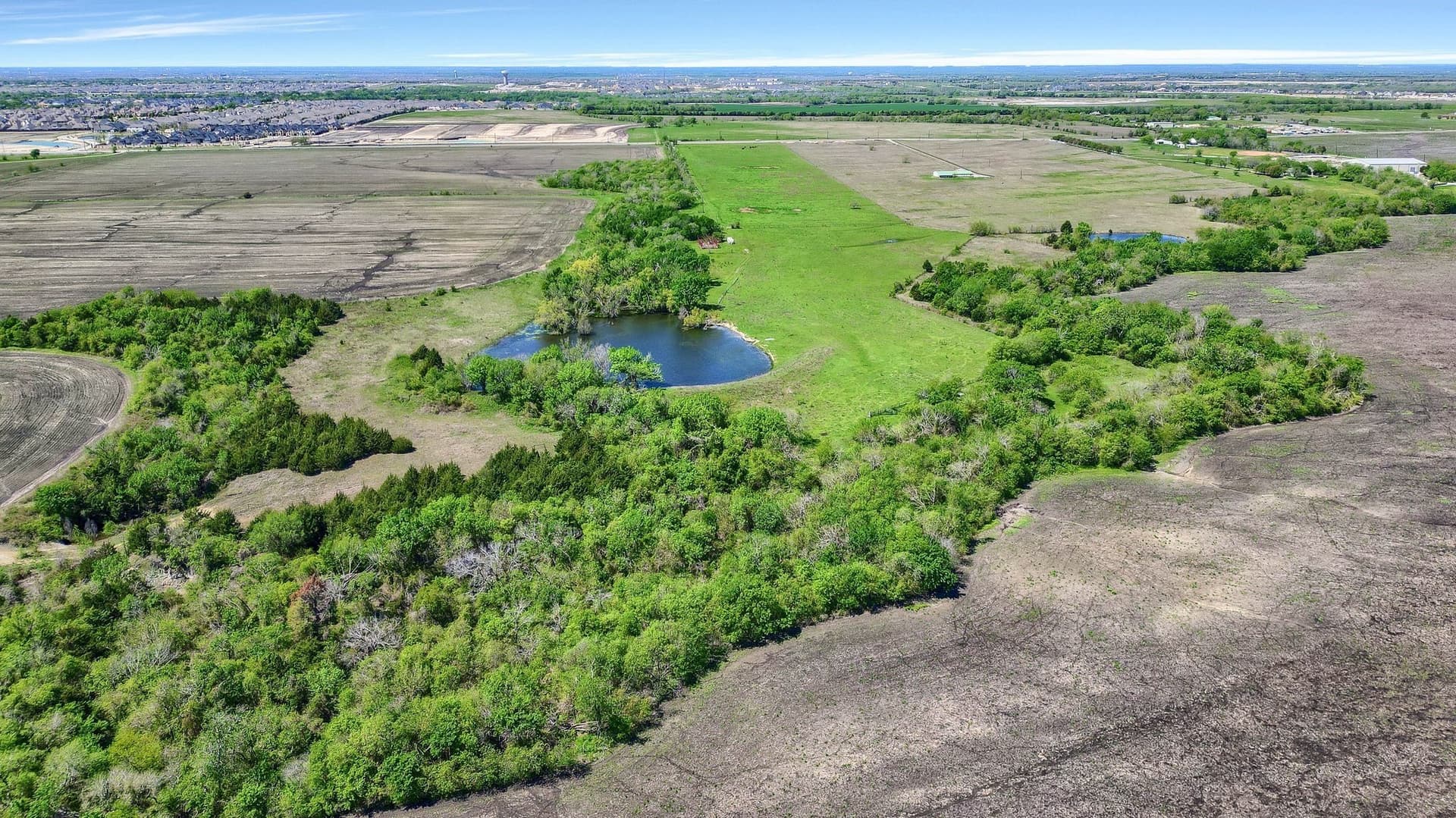 31.98 acres in Collin County - photo 17