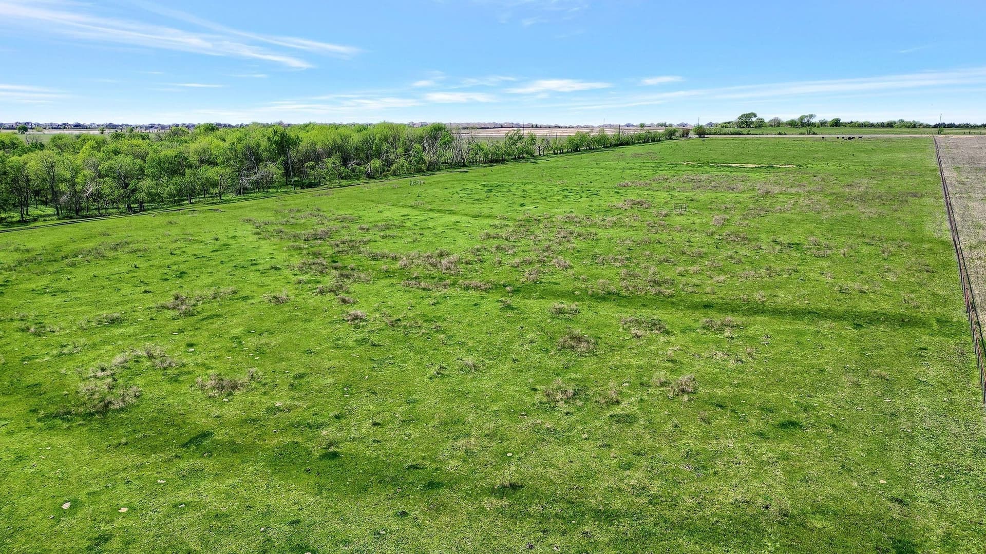 31.98 acres in Collin County - photo 29