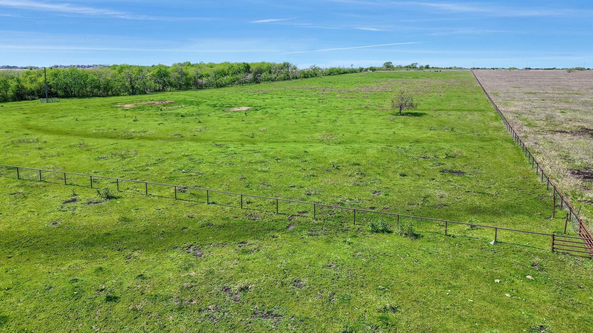 31.98 acres in Collin County - photo 27