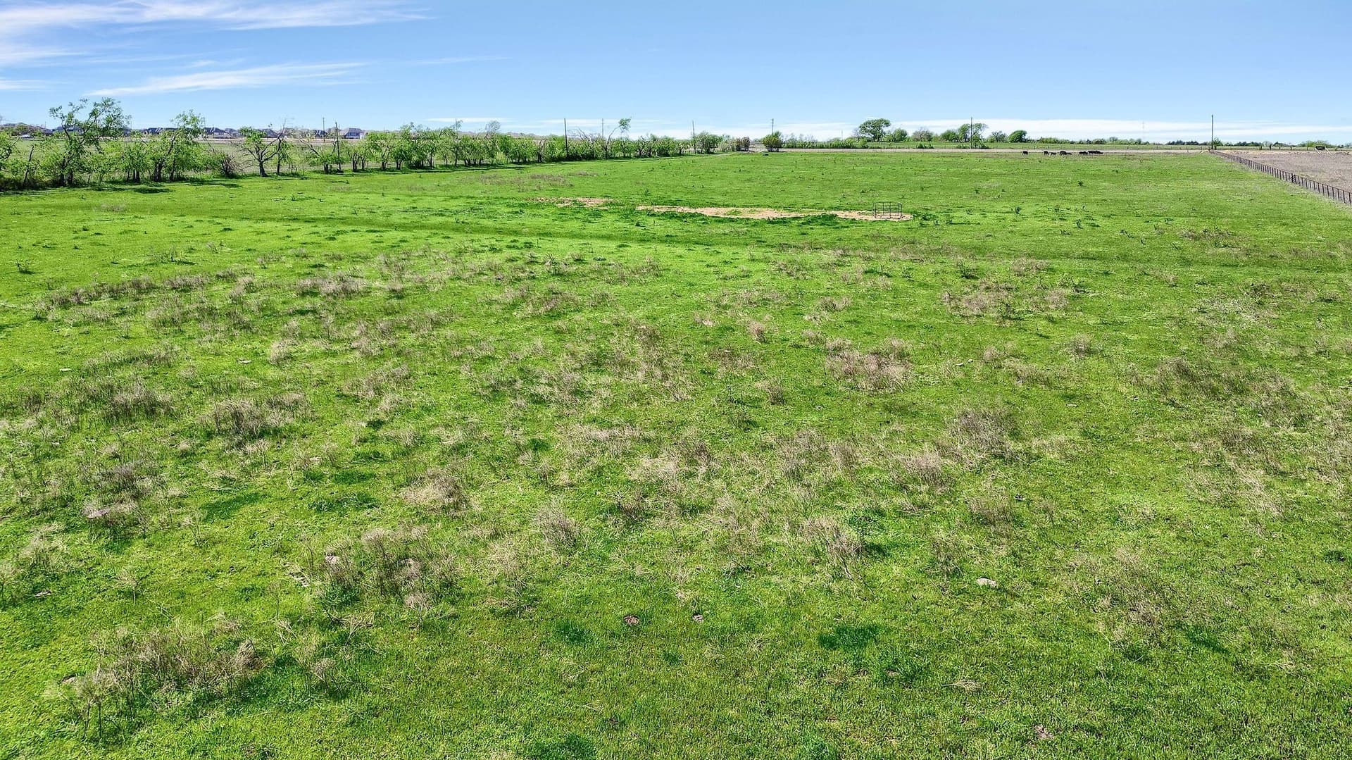 31.98 acres in Collin County - photo 30