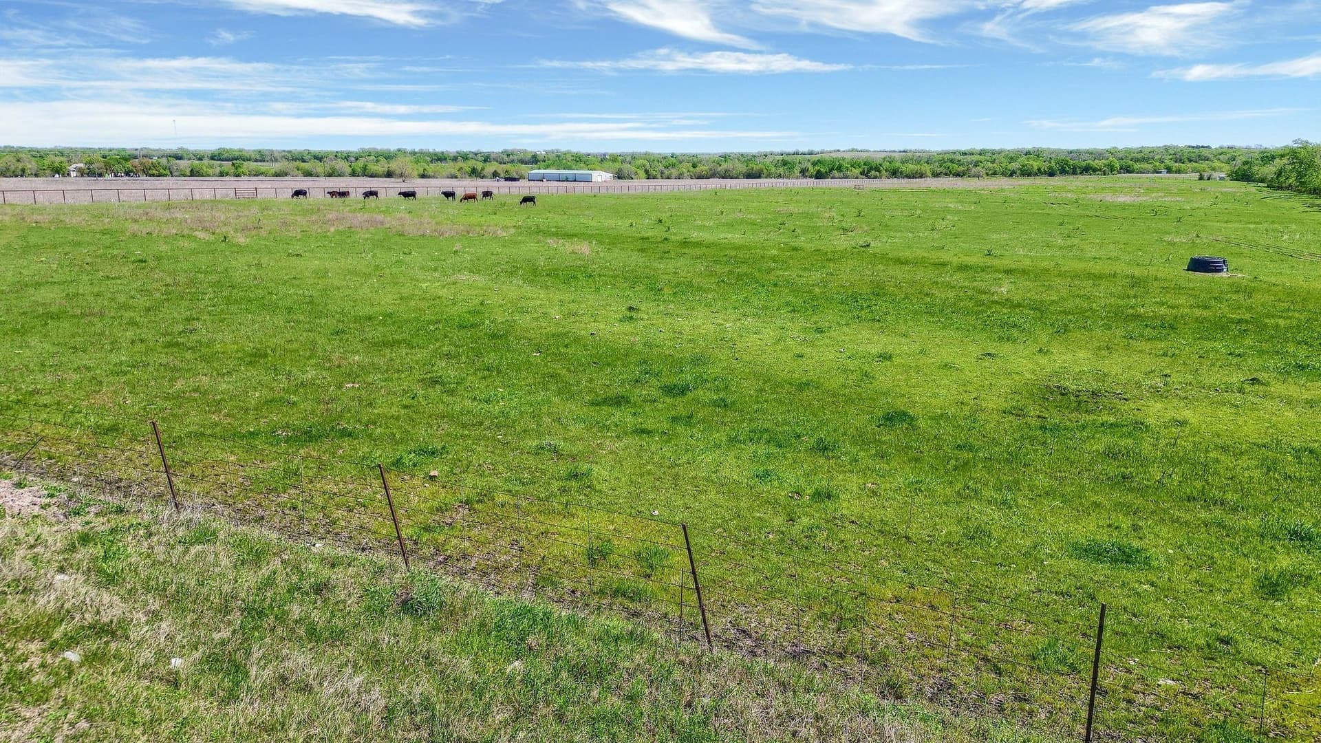31.98 acres in Collin County - photo 7