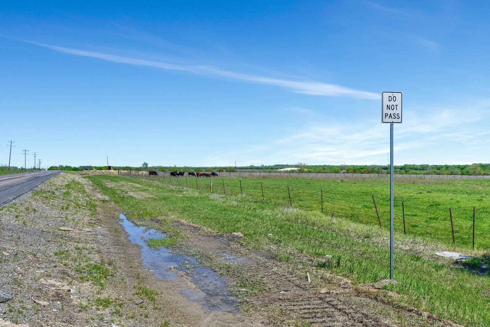 31.98 acres in Collin County - photo 33