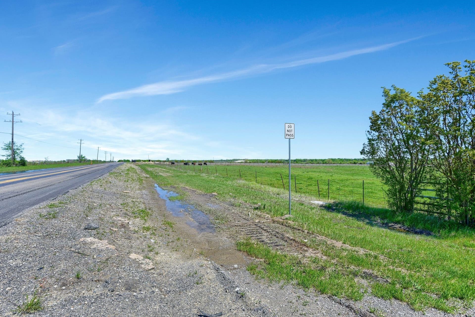31.98 acres in Collin County - photo 34