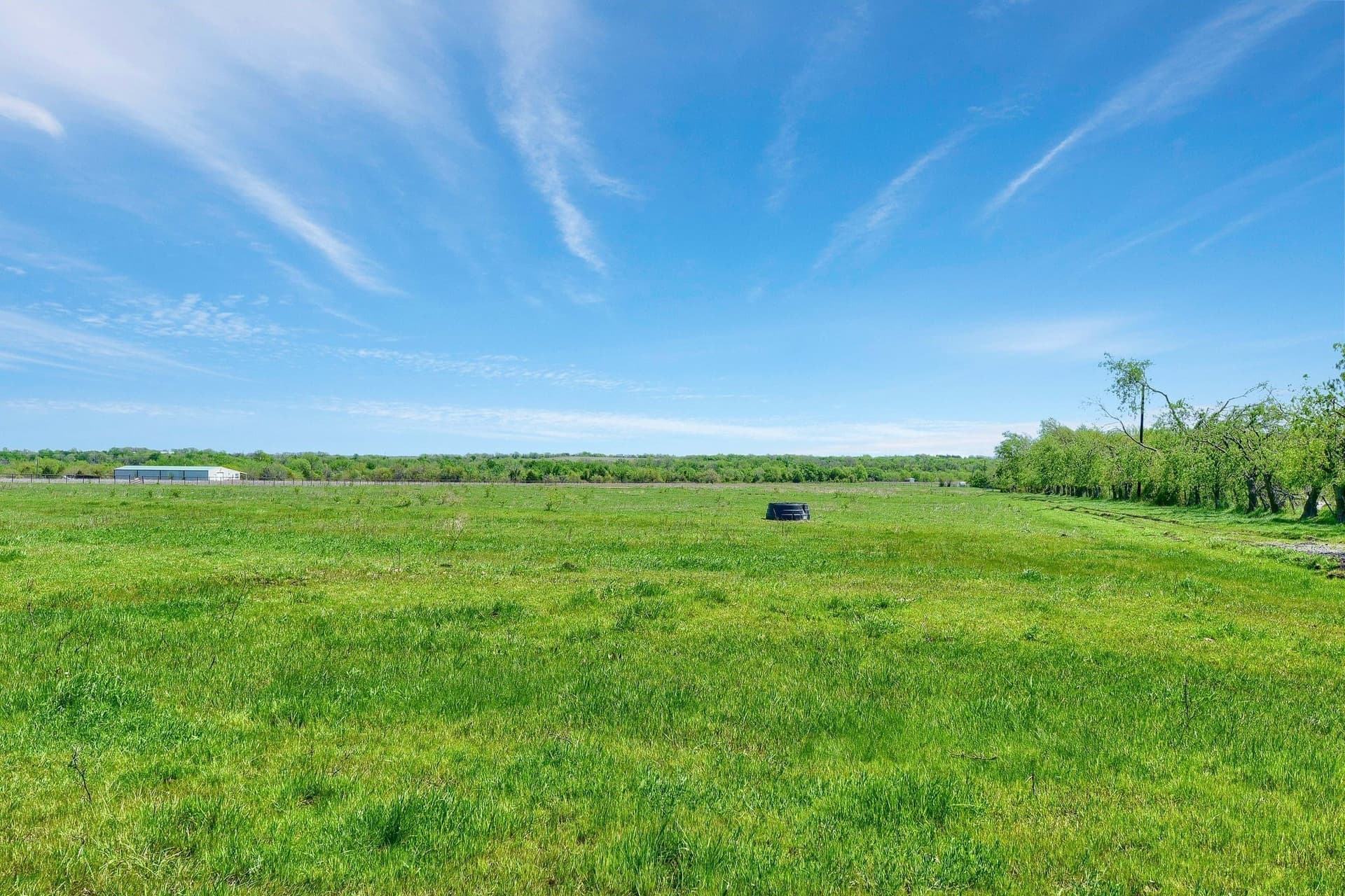 31.98 acres in Collin County - photo 32