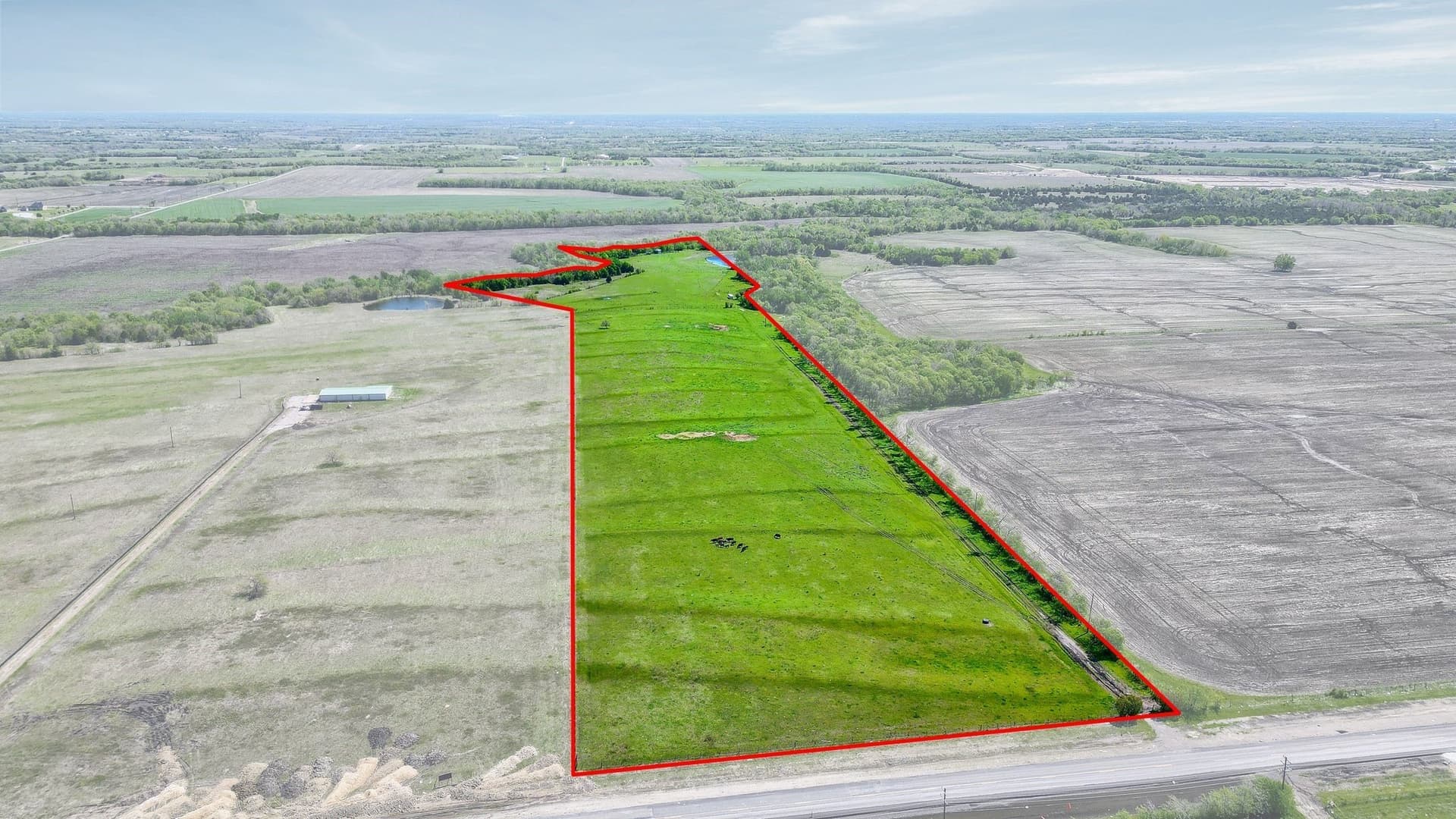 31.98 acres in Collin County gallery image 4