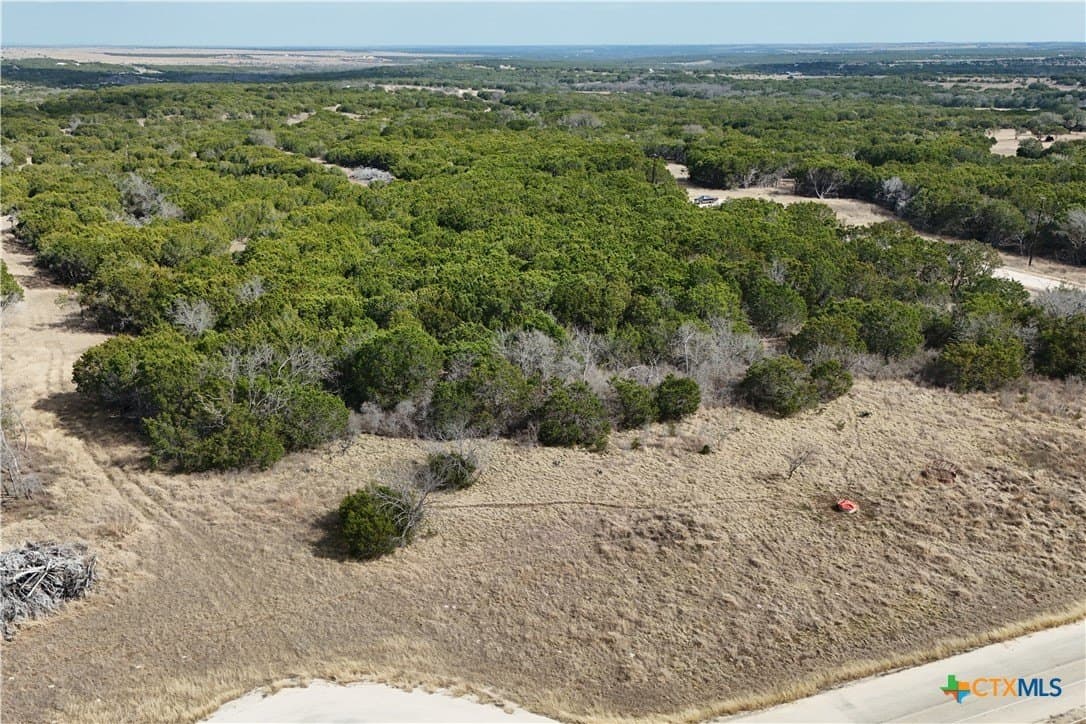 10 acres in Burnet County - photo 4