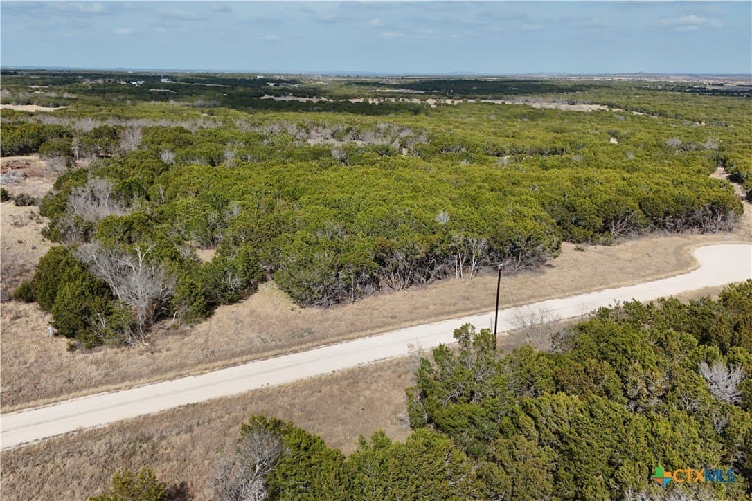 10 acres in Burnet County - photo 6