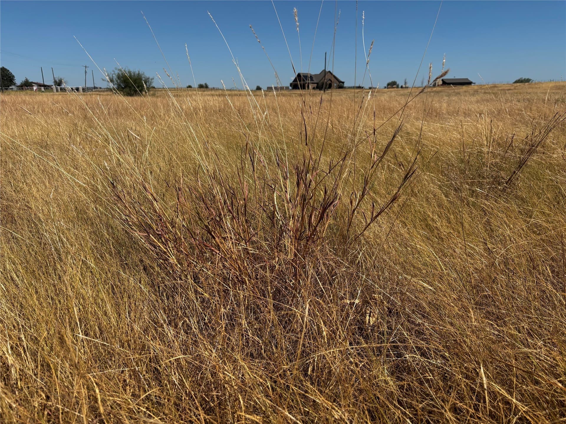 6.16 acres in Denton County - photo 12