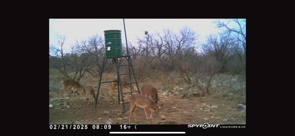 23.14 acres in McCulloch County gallery image 4