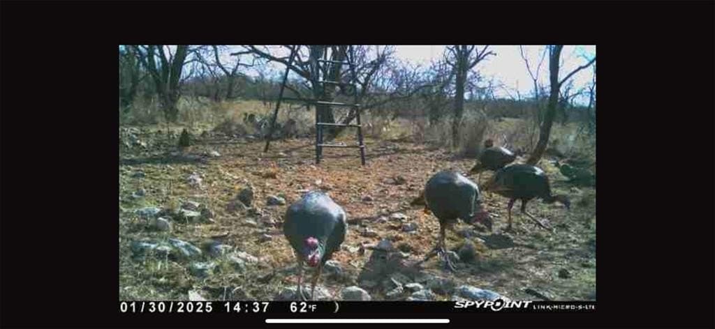 23.14 acres in McCulloch County gallery image 3