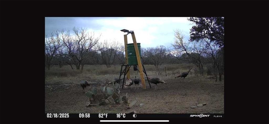 23.14 acres in McCulloch County gallery image 2