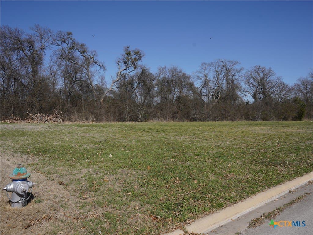 0.23 acres in Bell County gallery image 2