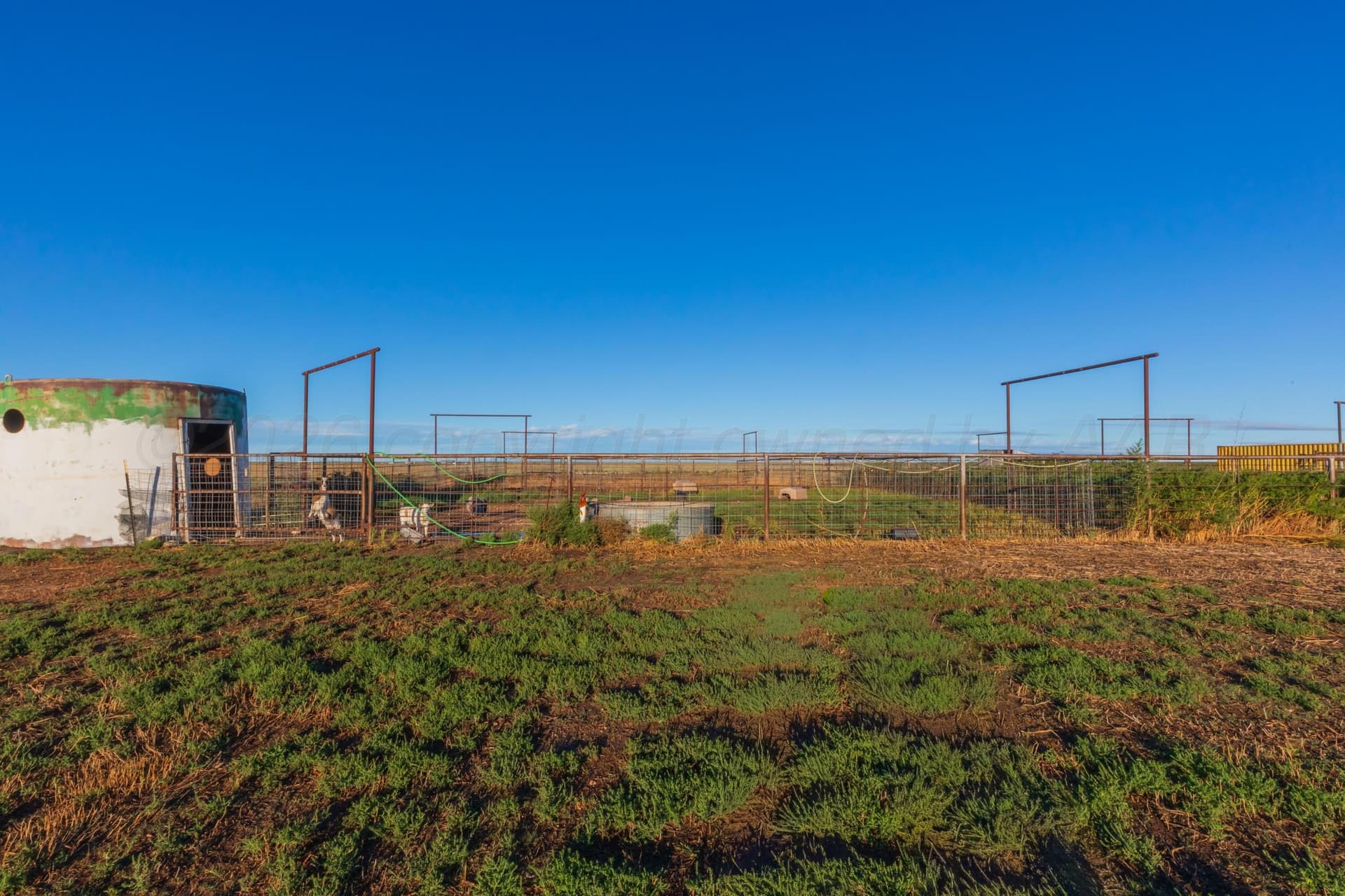 20 acres in Gray County - photo 66