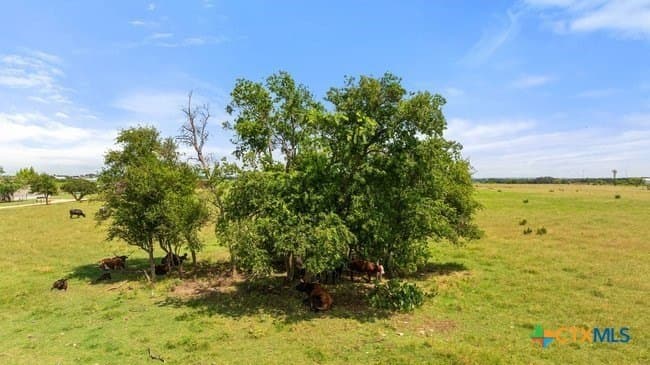 32.18 acres in Williamson County - photo 7